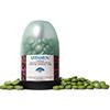 Vitamun 200stk.