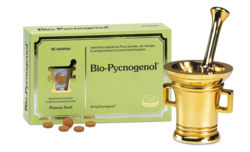 Bio-Pycnogenol - 90 tabl.