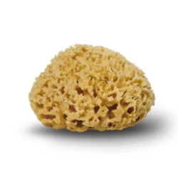 Cocoon Natursvamp Honeycomb 12 cm, 1 stk.