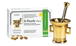 Pharma Nord D-Pearls Phyto 38 µg, 80kaps.