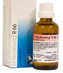 Dr. Reckeweg R 66, 50ml.