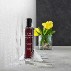 John Masters Organics Shampoo for Dry Hair with Evening Primrose, 473ml