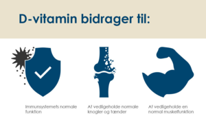Pharma Nord D-Pearls Phyto 38 µg, 80kaps.
