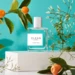CLEAN Classic Shower Fresh Edp, 60ml.