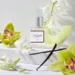 CLEAN Classic Skin Edp, 30ml.