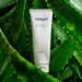 Jurlique Aloe Vera Hand Cream, 40ml.