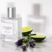 Clean Classic Simply Clean EdP 60 ml
