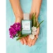 Clean Reserve H2EAU Waterfall EdP 50ml.