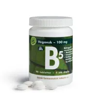 DFI B5 depottablet 100 mg 90 tabl.