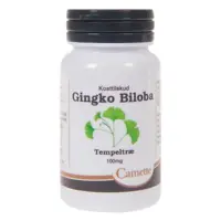 Camette Ginkgo biloba 100 mg, 90 stk.