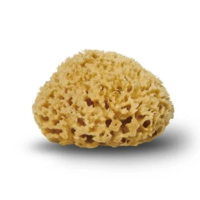Cocoon Natursvamp Honeycomb 12 cm, 1 stk.