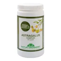 Astragalus complex 375 mg, 90kap.